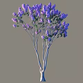 Beautiful Blooming Arbor With Purple Flowers Green Leaves And Slender Trunks