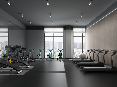 Modern Gym 3d model