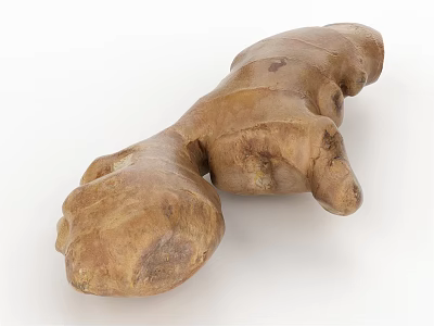 Organic Fresh Natural Ginger Root Vegetable Ideal for Healthy Cooking Recipes 3d model