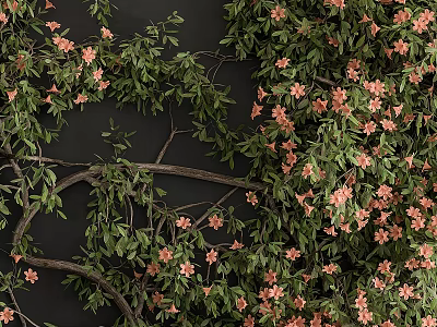 Lush Vertical Green Plant Wall With Climbing Vines Pink Flowers And Dark Backdrop 3d model