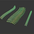 Three Anatomical Skeletal Spinal Vertebrae Models with Bony Projections and Brown Surface