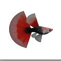 Colorful Guppy Fish Swimming With Red Flowing Tail Black Silver Body In Deep Blue Background