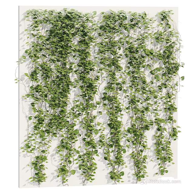 Natural Garden Decor With Lush Hanging Green Vines Covering White Wall 3d model 