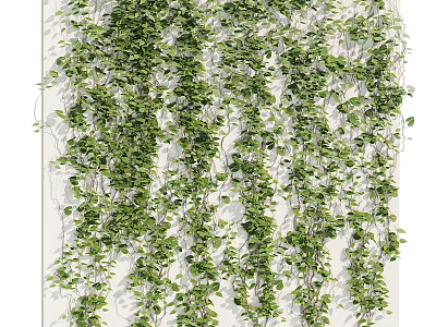Natural Garden Decor With Lush Hanging Green Vines Covering White Wall 3d model