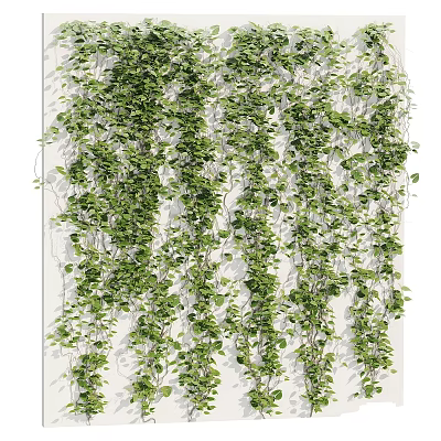 Natural Garden Decor With Lush Hanging Green Vines Covering White Wall 3d model