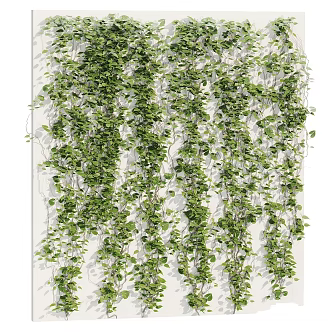 Modern gardening sketch ivy plant garden shrub hedge 3d model