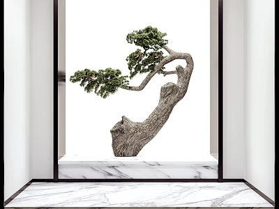 New Chinese Bonsai Pine 3d model