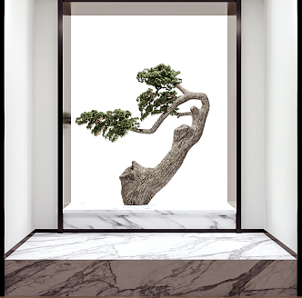 New Chinese Bonsai Pine 3d model