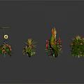 Diverse Potted Plants with Sunflower Roses Succulents and Colorful Flowering Greenery