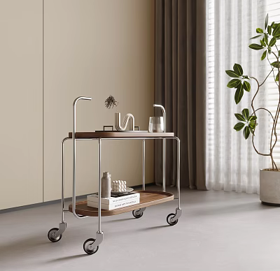 Modern Living Room Interior With Wheeled Storage Shelf Wooden Layers Metal Frame And Green Plant 3d model