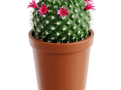 Green Spherical Cactus with White Spines and Pink Flowers in Brown Pot for Home Decoration 3d model