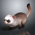 Cute Ferret Character With White And Brown Fur Standing On Gray Surface