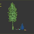 Cartoon Scene With Tall And Small Pine Trees Little People Green Grass And Yellow Flowers