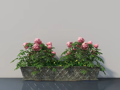 Long Rectangular Bonsai Potted Plant With Pink Flowers Green Leaves And Metal Woven Planter 3d model