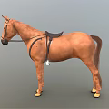 Brown Horse With Saddle And Bridle Standing In Neutral Background