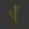 Green Cactus Plant With Yellow Spines On Gray Gradient Background And Bottom Reflection 3d model