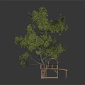 Tree With Green Leaves And Wooden Treehouse Featuring Ladder And Small Roof