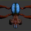 Grotesque Fantasy Monster With Red Limbs Blue Back And Multiple Claws 3d model