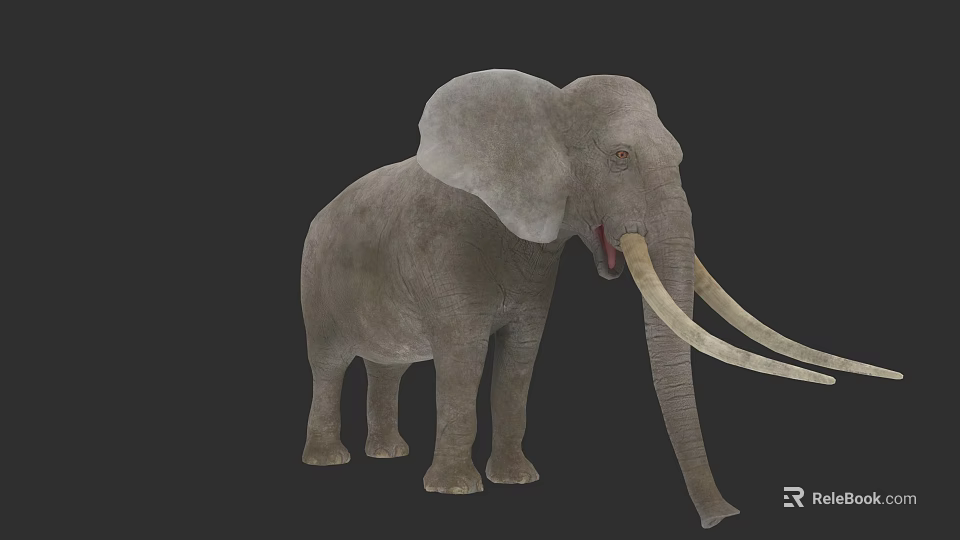 Gray Elephant With Large Ears Long Trunk And White Tusks On Black Background 3d model 