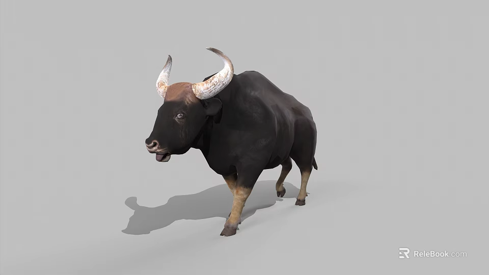 Realistic Black Bull With Large Curved Horns Standing On Gray Background 3d model 