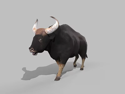 Realistic Black Bull With Large Curved Horns Standing On Gray Background 3d model