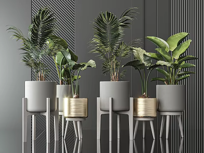 Potted Plants in Gray and Gold Pots on Stands Against Modern Dark Striped Wall 3d model