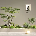 Indoor Landscape Design With Planter Box Tree Ferns Window Silhouette Lamp And Wooden Floor