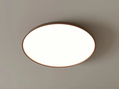 Round Ceiling Light with White Shade and Modern Metal Frame Design 3d model