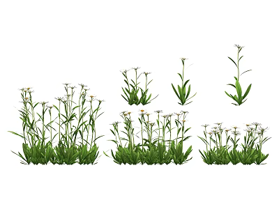 Modern Flower Daisy 3d model