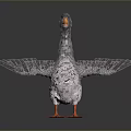 Gray Goose With Orange Beak And Feet Wings Spread On Dark Background