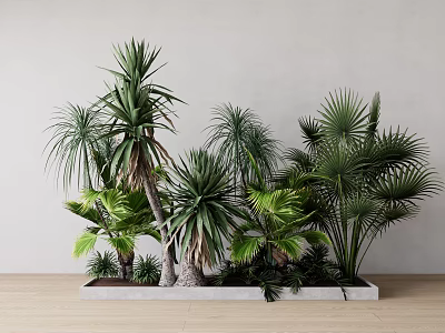 Diverse Green Plants Including Palms And Yuccas In Rectangular Concrete Planter On Wooden Floor 3d model