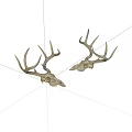 Pair of Natural Deer Skull Antlers as Decorative Wall Hanging Art