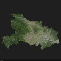 Topographic Map Design Wall Decor with Green Yellow Terrain and Irregular Shape for Home