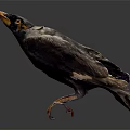 Detailed Bird Figure With Damaged Feathers Orange Beak Claws And Gray Background