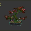 Decorative Bonsai Plant With Green Leaves And Pink Flowers In Square Pot
