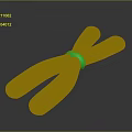 Blue Structure With Red Ends And Green Central Ring On Dark Surface