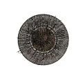 Bonsai Potted Plant with Woven Texture Pot and Slender Dried Grass