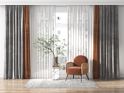 Modern Curtains model