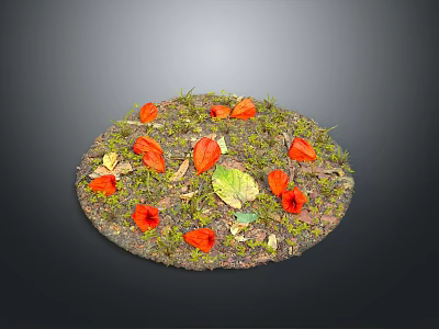 Round Food Platter Decorated With Red Flowers And Green Leaves 3d model
