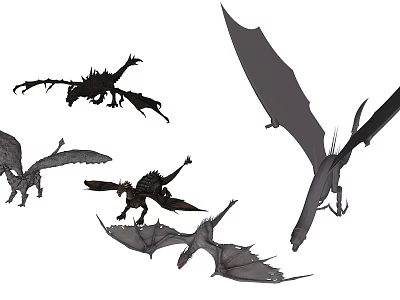 Mythical Dragon Illustrations With Various Poses And Detailed Wing Designs 3d model