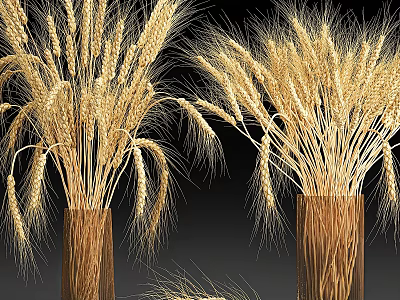 Natural Wheat Ears Decorative Ornament Set With Rustic Vases For Home Decor 3d model