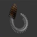 Organ And Hair Spiral Structure With Brown Hair Like Fibers And Silver Skeletal Elements