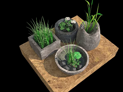 Garden Decorative Planters With Grass Flowers And Lotus Leaf In Stone Pots On Wooden Tray 3d model