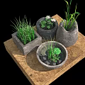 Garden Decorative Planters With Grass Flowers And Lotus Leaf In Stone Pots On Wooden Tray