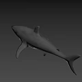 Gray Great White Shark 3D Render Swimming With Open Mouth in Dark