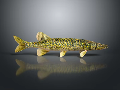 Aquatic Animal Pike Fish With Yellow Green Patterned Slender Body Fins Tail Dark Background Reflection 3d model