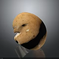 Fresh Single Orange Brown Mushroom With Smooth Surface And Natural Detailed Texture