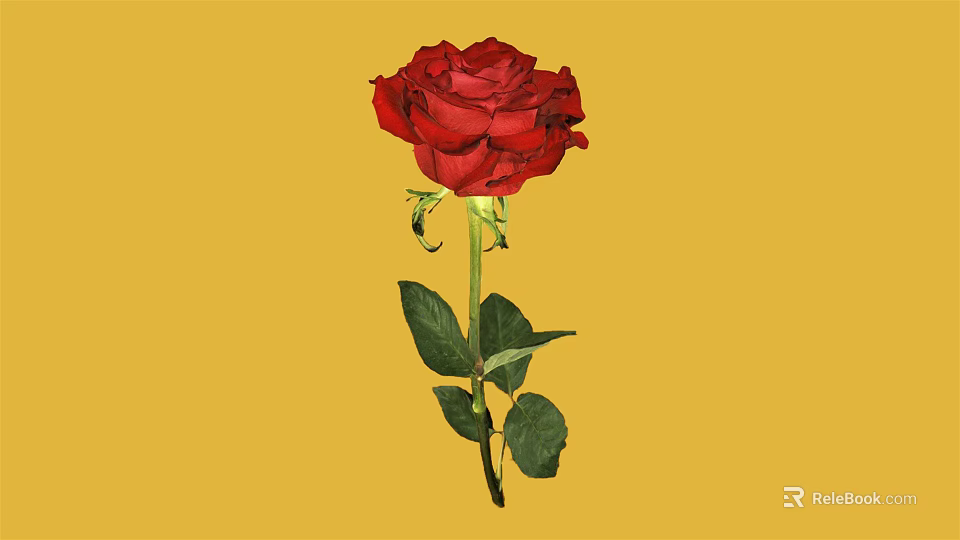 Beautiful Red Rose with Green Leaves and Stem on Yellow Background 3d model 