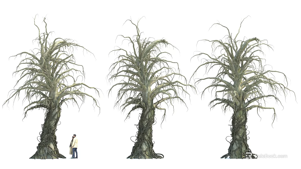 Giant Trees With Thick Trunks Long Twisted Branches And Person Standing Nearby 3d model 