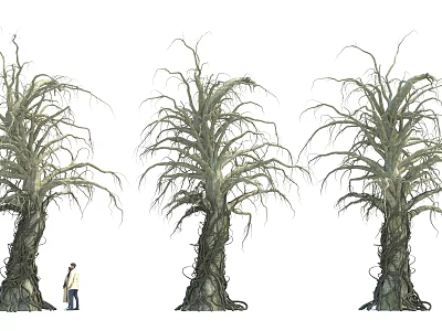 Giant Trees With Thick Trunks Long Twisted Branches And Person Standing Nearby 3d model